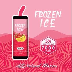 Frozen Ice (Nicotine Salt 5%)  5 Pcs
